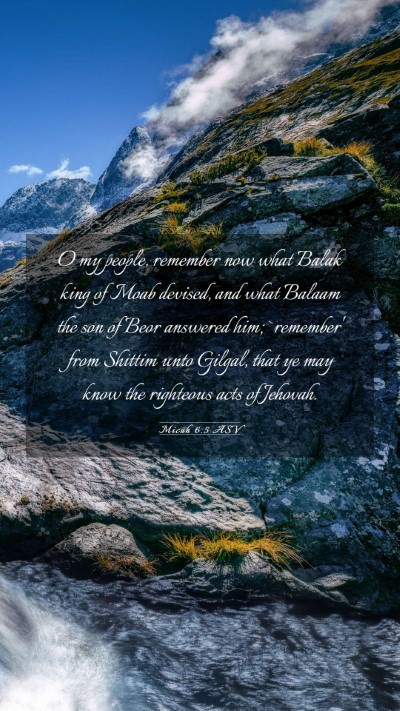 Picture 03 - Micah 6:5 ASV Mobile Phone Wallpaper - O my people, remember now what Balak king of Moab - Mobile Bible Verse Wallpaper