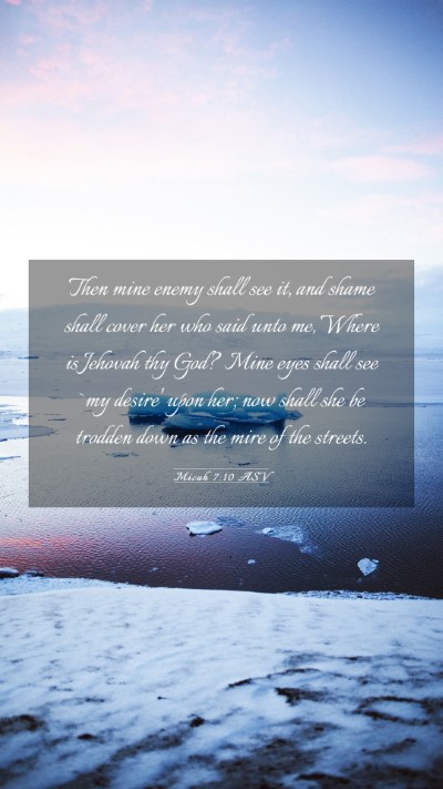 Picture 03 - Micah 7:10 ASV Mobile Phone Wallpaper - Then mine enemy shall see it, and shame shall - Mobile Bible Verse Wallpaper