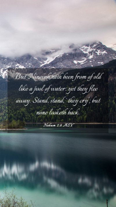 Picture 03 - Nahum 2:8 ASV Mobile Phone Wallpaper - But Nineveh hath been from of old like a pool of - Mobile Bible Verse Wallpaper