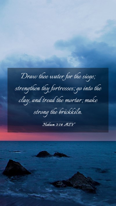 Picture 03 - Nahum 3:14 ASV Mobile Phone Wallpaper - Draw thee water for the siege; strengthen thy - Mobile Bible Verse Wallpaper