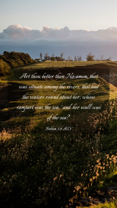 Picture 03 - Nahum 3:8 ASV Mobile Phone Wallpaper - Art thou better than No-amon, that was situate - Mobile Bible Verse Wallpaper