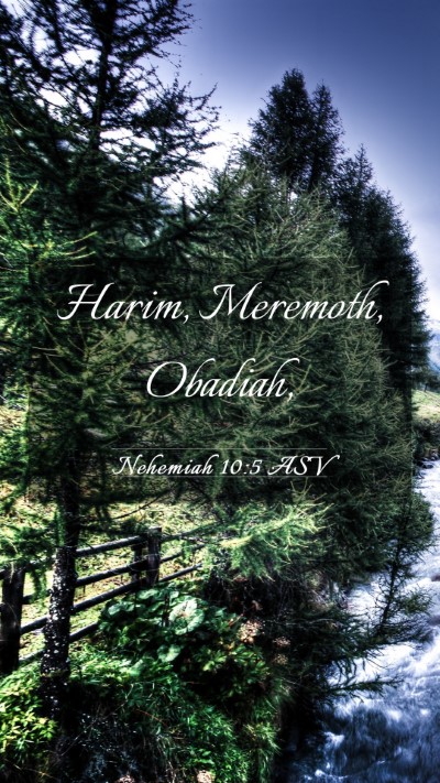 Picture 03 - Nehemiah 10:5 ASV Mobile Phone Wallpaper - Harim, Meremoth, - Mobile Bible Verse Wallpaper