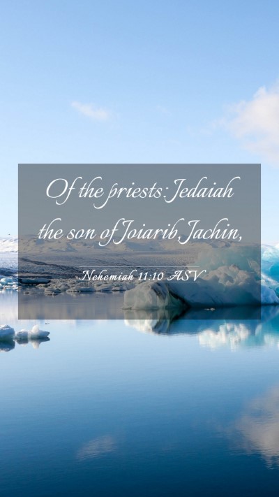 Picture 03 - Nehemiah 11:10 ASV Mobile Phone Wallpaper - Of the priests: Jedaiah the son of Joiarib, - Mobile Bible Verse Wallpaper