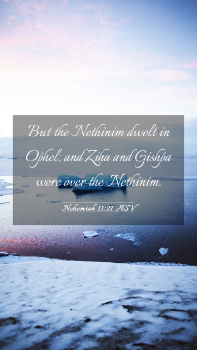 Picture 03 - Nehemiah 11:21 ASV Mobile Phone Wallpaper - But the Nethinim dwelt in Ophel: and Ziha and - Mobile Bible Verse Wallpaper