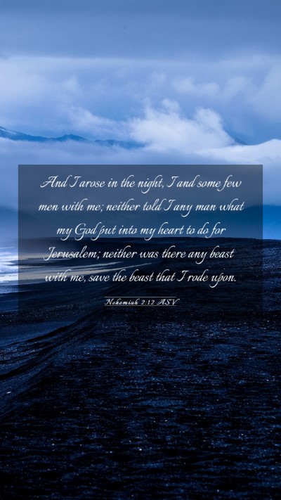 Picture 03 - Nehemiah 2:12 ASV Mobile Phone Wallpaper - And I arose in the night, I and some few men with - Mobile Bible Verse Wallpaper
