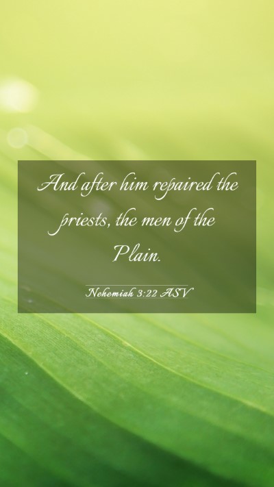 Picture 03 - Nehemiah 3:22 ASV Mobile Phone Wallpaper - And after him repaired the priests, the men of - Mobile Bible Verse Wallpaper