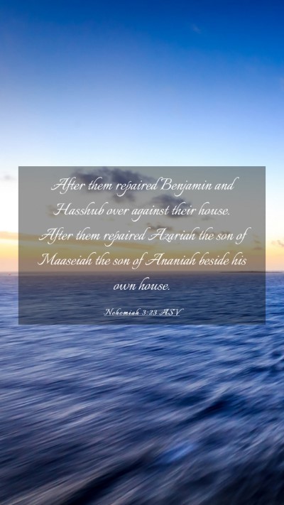 Picture 03 - Nehemiah 3:23 ASV Mobile Phone Wallpaper - After them repaired Benjamin and Hasshub over - Mobile Bible Verse Wallpaper