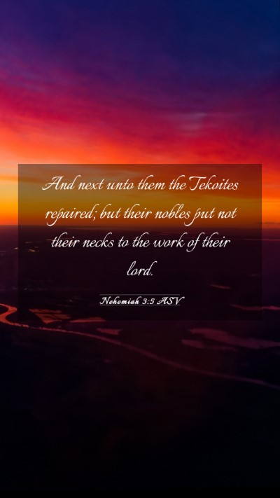 Picture 03 - Nehemiah 3:5 ASV Mobile Phone Wallpaper - And next unto them the Tekoites repaired; but - Mobile Bible Verse Wallpaper