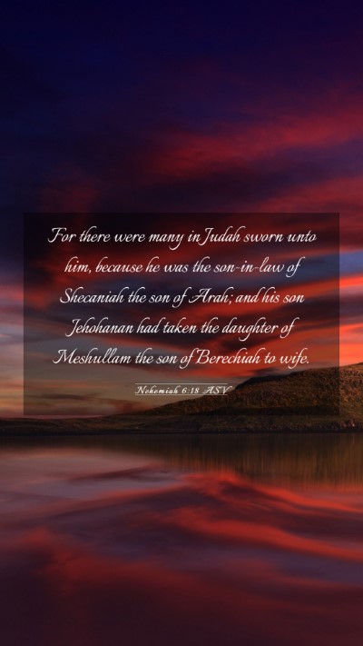 Picture 03 - Nehemiah 6:18 ASV Mobile Phone Wallpaper - For there were many in Judah sworn unto him, - Mobile Bible Verse Wallpaper