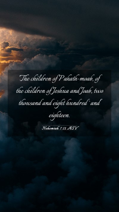 Picture 03 - Nehemiah 7:11 ASV Mobile Phone Wallpaper - The children of Pahath-moab, of the children of - Mobile Bible Verse Wallpaper