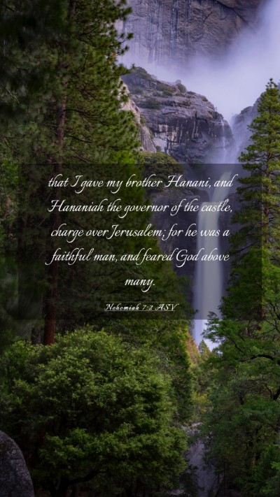 Picture 03 - Nehemiah 7:2 ASV Mobile Phone Wallpaper - that I gave my brother Hanani, and Hananiah the - Mobile Bible Verse Wallpaper