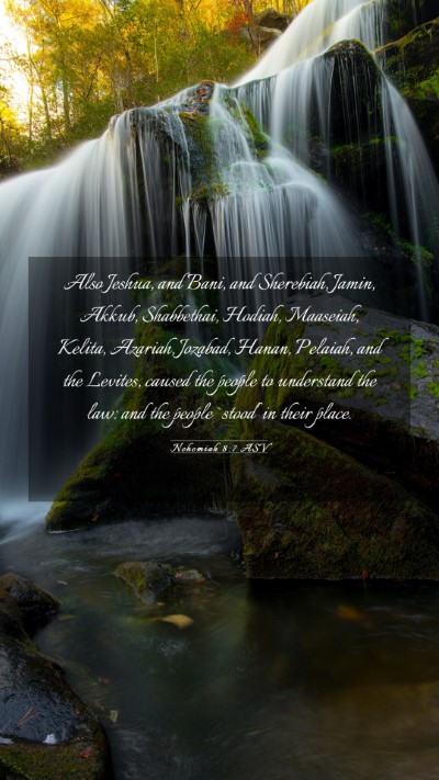 Picture 03 - Nehemiah 8:7 ASV Mobile Phone Wallpaper - Also Jeshua, and Bani, and Sherebiah, Jamin, - Mobile Bible Verse Wallpaper