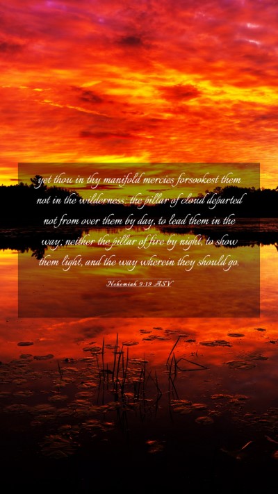 Picture 03 - Nehemiah 9:19 ASV Mobile Phone Wallpaper - yet thou in thy manifold mercies forsookest them - Mobile Bible Verse Wallpaper