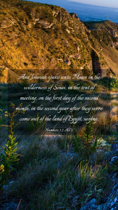 Picture 03 - Numbers 1:1 ASV Mobile Phone Wallpaper - And Jehovah spake unto Moses in the wilderness of - Mobile Bible Verse Wallpaper