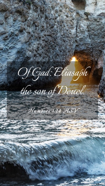 Picture 03 - Numbers 1:14 ASV Mobile Phone Wallpaper - Of Gad: Eliasaph the son of - Mobile Bible Verse Wallpaper