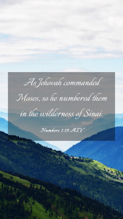 Picture 03 - Numbers 1:19 ASV Mobile Phone Wallpaper - As Jehovah commanded Moses, so he numbered them - Mobile Bible Verse Wallpaper