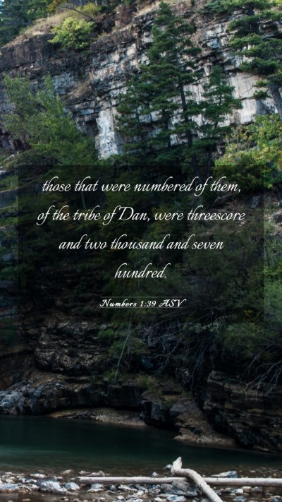 Picture 03 - Numbers 1:39 ASV Mobile Phone Wallpaper - those that were numbered of them, of the tribe of - Mobile Bible Verse Wallpaper
