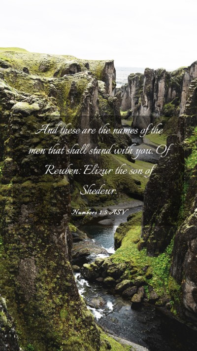 Picture 03 - Numbers 1:5 ASV Mobile Phone Wallpaper - And these are the names of the men that shall - Mobile Bible Verse Wallpaper