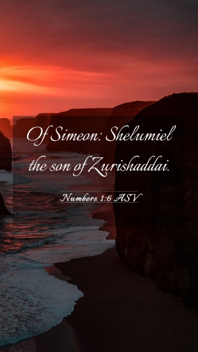 Picture 03 - Numbers 1:6 ASV Mobile Phone Wallpaper - Of Simeon: Shelumiel the son of - Mobile Bible Verse Wallpaper