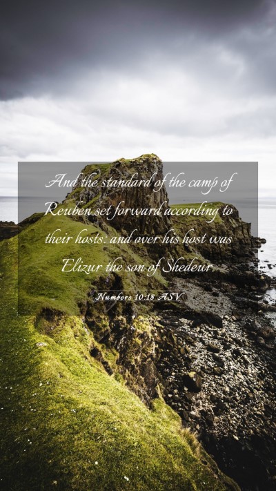 Picture 03 - Numbers 10:18 ASV Mobile Phone Wallpaper - And the standard of the camp of Reuben set - Mobile Bible Verse Wallpaper