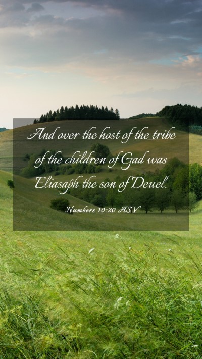 Picture 03 - Numbers 10:20 ASV Mobile Phone Wallpaper - And over the host of the tribe of the children of - Mobile Bible Verse Wallpaper