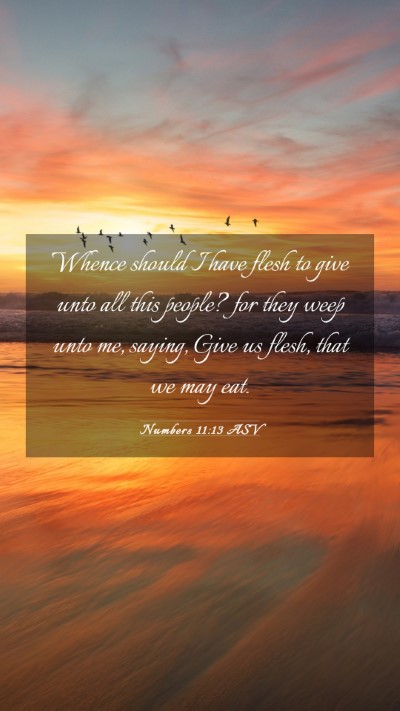 Picture 03 - Numbers 11:13 ASV Mobile Phone Wallpaper - Whence should I have flesh to give unto all this - Mobile Bible Verse Wallpaper