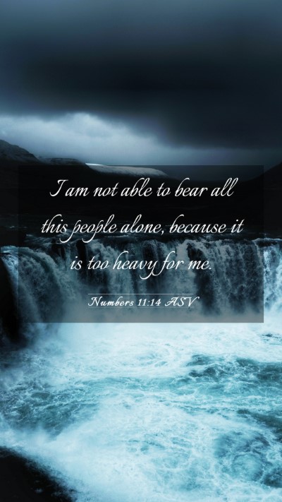 Picture 03 - Numbers 11:14 ASV Mobile Phone Wallpaper - I am not able to bear all this people alone, - Mobile Bible Verse Wallpaper