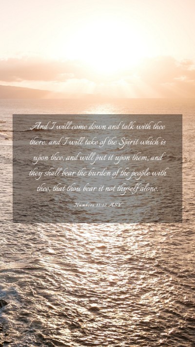 Picture 03 - Numbers 11:17 ASV Mobile Phone Wallpaper - And I will come down and talk with thee there: - Mobile Bible Verse Wallpaper