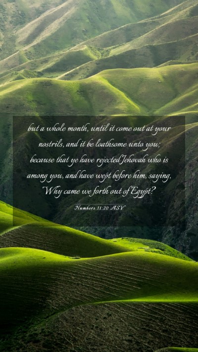 Picture 03 - Numbers 11:20 ASV Mobile Phone Wallpaper - but a whole month, until it come out at your - Mobile Bible Verse Wallpaper