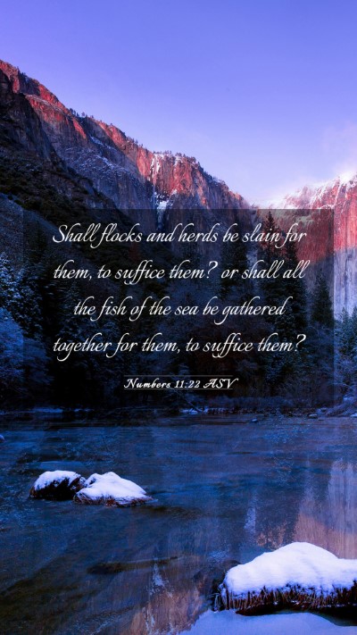 Picture 03 - Numbers 11:22 ASV Mobile Phone Wallpaper - Shall flocks and herds be slain for them, to - Mobile Bible Verse Wallpaper