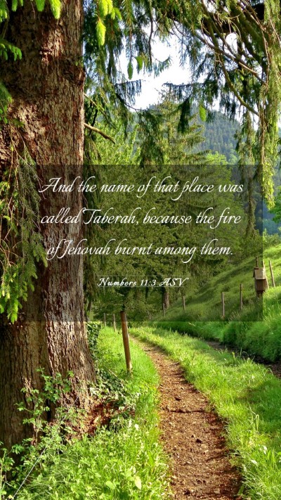 Picture 03 - Numbers 11:3 ASV Mobile Phone Wallpaper - And the name of that place was called Taberah, - Mobile Bible Verse Wallpaper