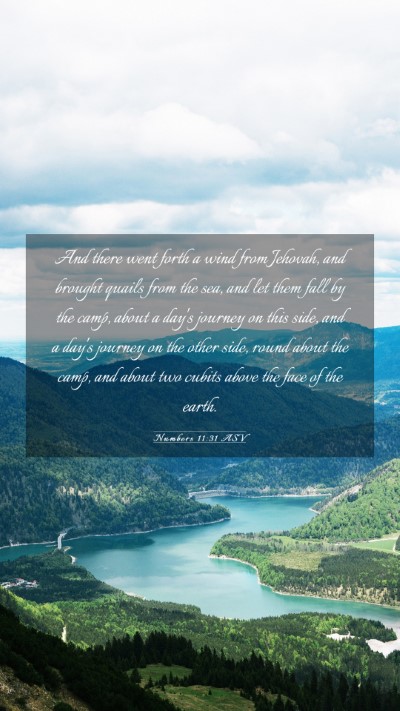 Picture 03 - Numbers 11:31 ASV Mobile Phone Wallpaper - And there went forth a wind from Jehovah, and - Mobile Bible Verse Wallpaper