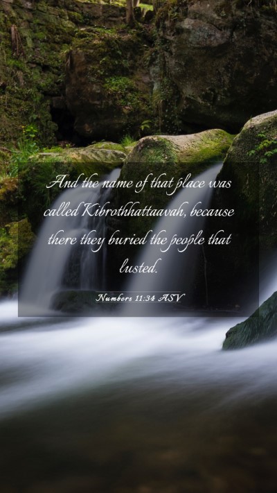 Picture 03 - Numbers 11:34 ASV Mobile Phone Wallpaper - And the name of that place was called - Mobile Bible Verse Wallpaper