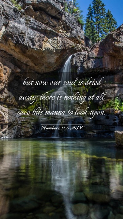 Picture 03 - Numbers 11:6 ASV Mobile Phone Wallpaper - but now our soul is dried away; there is nothing - Mobile Bible Verse Wallpaper