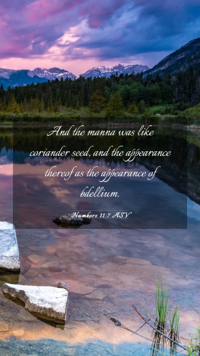 Picture 03 - Numbers 11:7 ASV Mobile Phone Wallpaper - And the manna was like coriander seed, and the - Mobile Bible Verse Wallpaper
