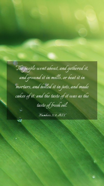 Picture 03 - Numbers 11:8 ASV Mobile Phone Wallpaper - The people went about, and gathered it, and - Mobile Bible Verse Wallpaper