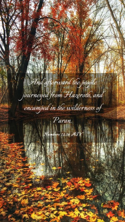 Picture 03 - Numbers 12:16 ASV Mobile Phone Wallpaper - And afterward the people journeyed from Hazeroth, - Mobile Bible Verse Wallpaper