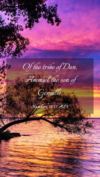 Picture 03 - Numbers 13:12 ASV Mobile Phone Wallpaper - Of the tribe of Dan, Ammiel the son of - Mobile Bible Verse Wallpaper
