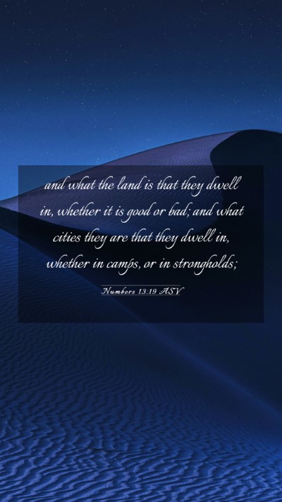 Picture 03 - Numbers 13:19 ASV Mobile Phone Wallpaper - and what the land is that they dwell in, whether - Mobile Bible Verse Wallpaper