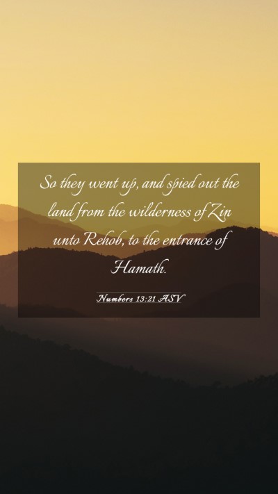 Picture 03 - Numbers 13:21 ASV Mobile Phone Wallpaper - So they went up, and spied out the land from the - Mobile Bible Verse Wallpaper