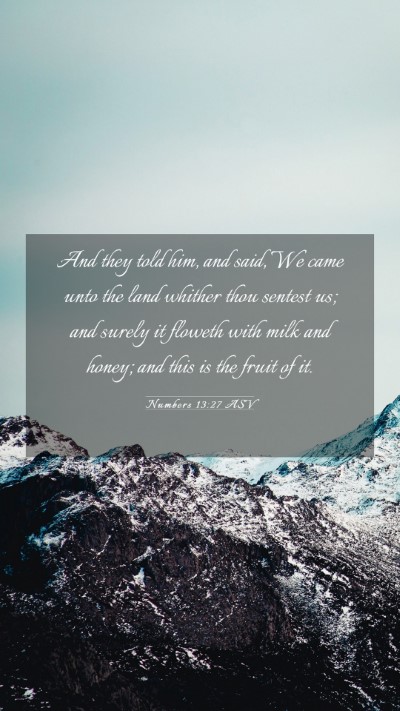 Picture 03 - Numbers 13:27 ASV Mobile Phone Wallpaper - And they told him, and said, We came unto the - Mobile Bible Verse Wallpaper