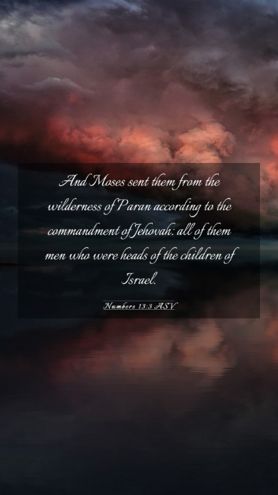 Picture 03 - Numbers 13:3 ASV Mobile Phone Wallpaper - And Moses sent them from the wilderness of Paran - Mobile Bible Verse Wallpaper