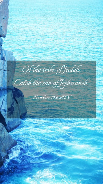 Picture 03 - Numbers 13:6 ASV Mobile Phone Wallpaper - Of the tribe of Judah, Caleb the son of - Mobile Bible Verse Wallpaper