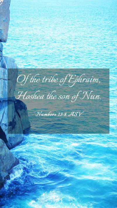 Picture 03 - Numbers 13:8 ASV Mobile Phone Wallpaper - Of the tribe of Ephraim, Hoshea the son of - Mobile Bible Verse Wallpaper