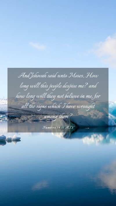 Picture 03 - Numbers 14:11 ASV Mobile Phone Wallpaper - And Jehovah said unto Moses, How long will this - Mobile Bible Verse Wallpaper