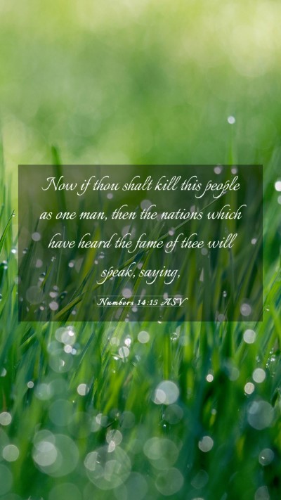 Picture 03 - Numbers 14:15 ASV Mobile Phone Wallpaper - Now if thou shalt kill this people as one man, - Mobile Bible Verse Wallpaper