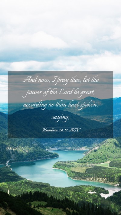 Picture 03 - Numbers 14:17 ASV Mobile Phone Wallpaper - And now, I pray thee, let the power of the Lord - Mobile Bible Verse Wallpaper