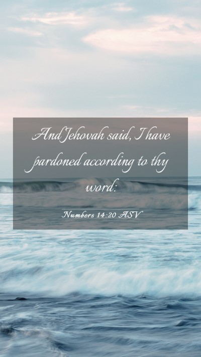 Picture 03 - Numbers 14:20 ASV Mobile Phone Wallpaper - And Jehovah said, I have pardoned according to - Mobile Bible Verse Wallpaper