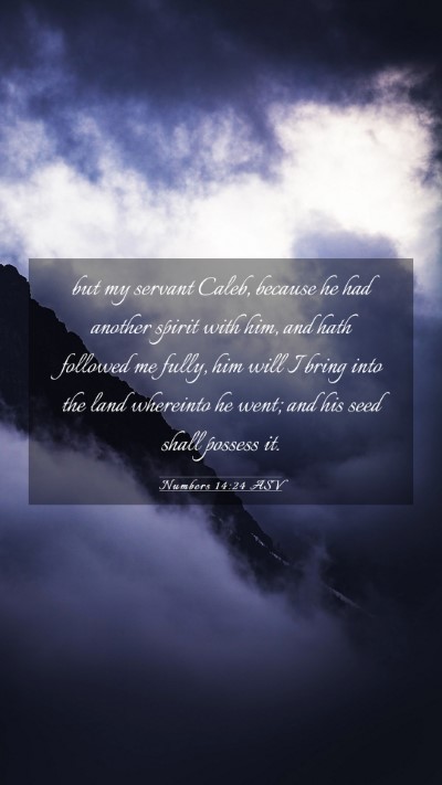 Picture 03 - Numbers 14:24 ASV Mobile Phone Wallpaper - but my servant Caleb, because he had another - Mobile Bible Verse Wallpaper