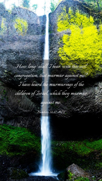 Picture 03 - Numbers 14:27 ASV Mobile Phone Wallpaper - How long `shall I bear' with this evil - Mobile Bible Verse Wallpaper